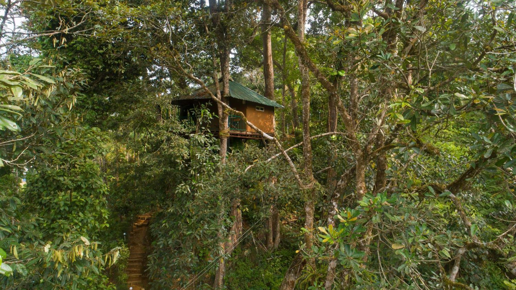 Ela Ecoland Nature Retreat Munnar Exterior foto