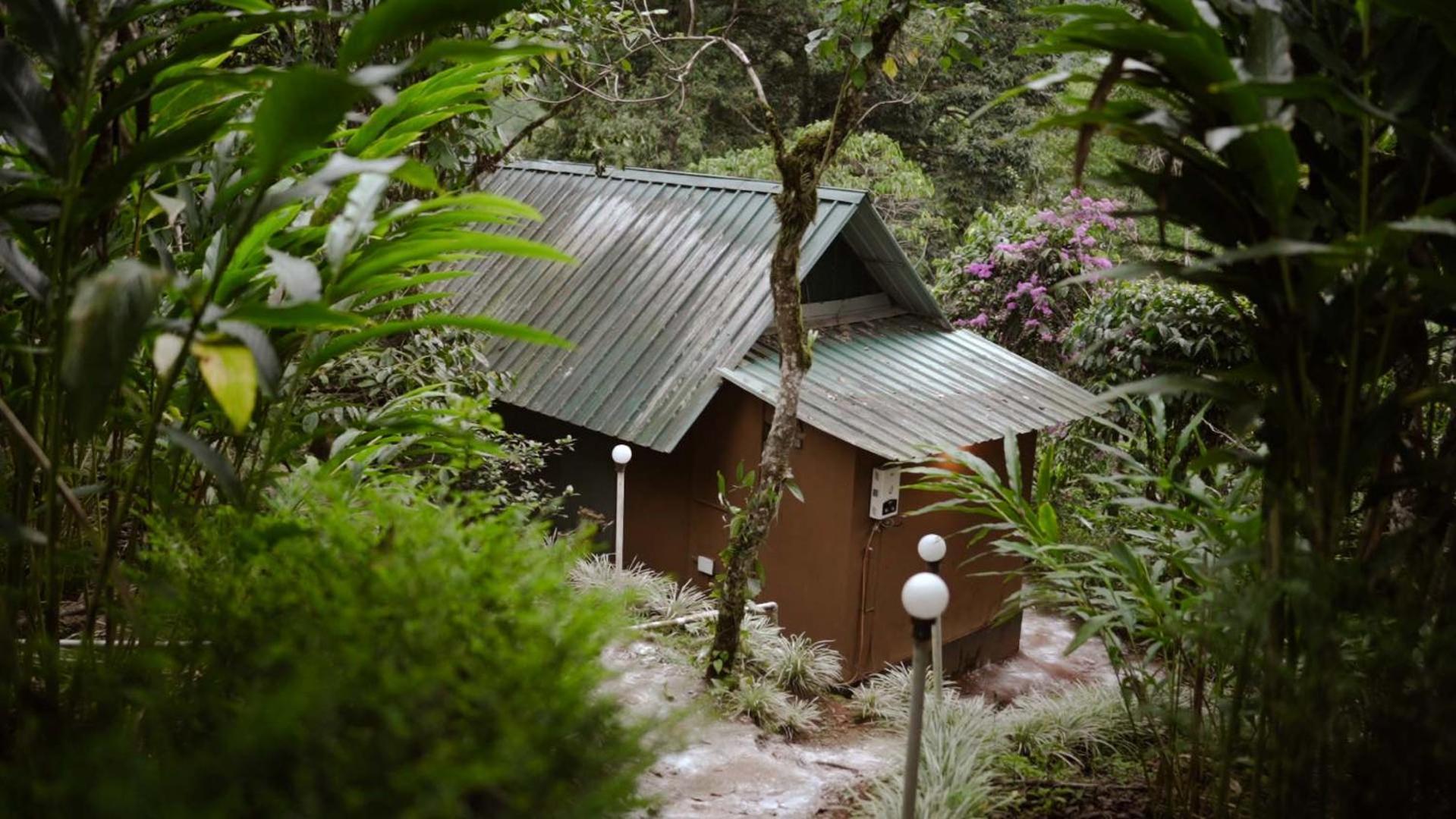 Ela Ecoland Nature Retreat Munnar Exterior foto