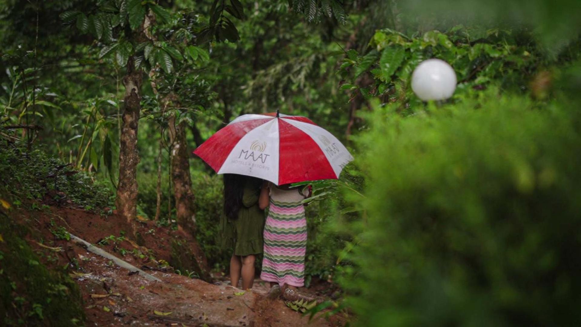 Ela Ecoland Nature Retreat Munnar Exterior foto