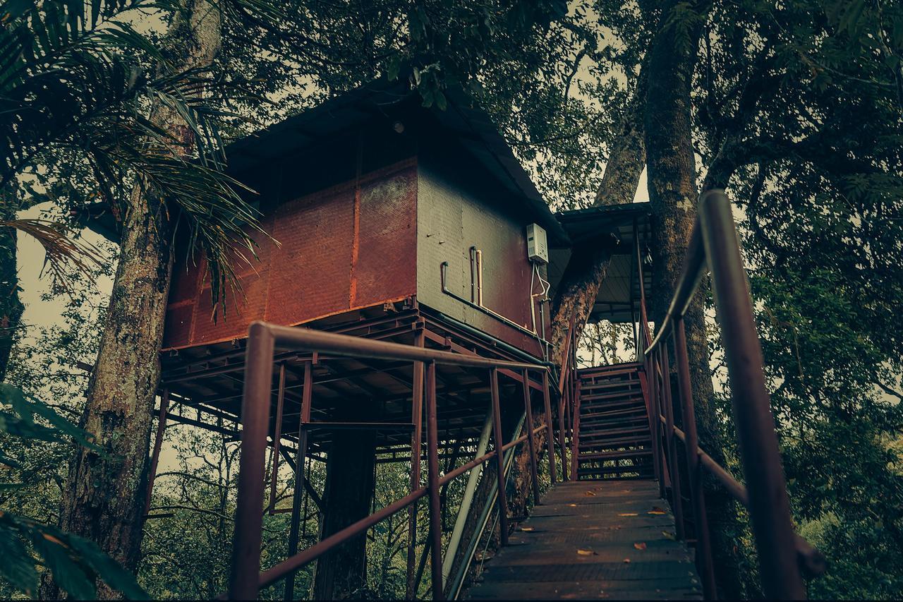 Ela Ecoland Nature Retreat Munnar Exterior foto